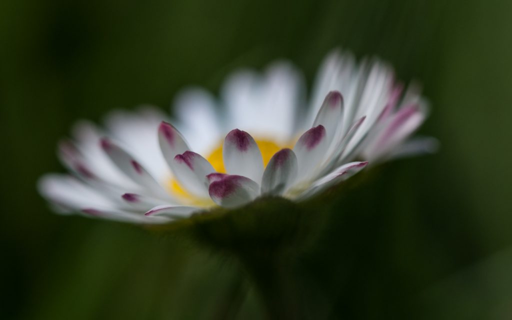 Fasten, Natur erleben