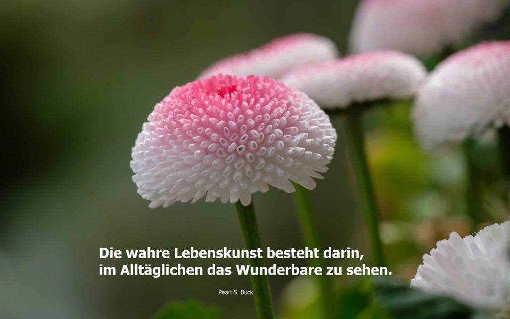 Fastenzeit, Frühling, Berger, Beatebewegt