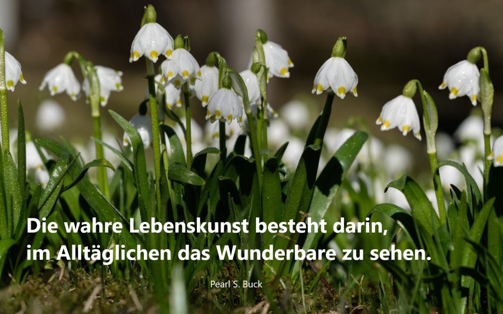 Fasten, Beatebewegt