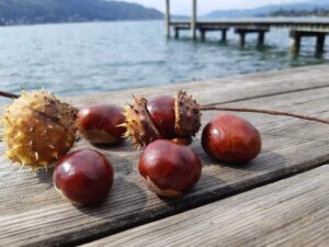 Fasten am Wörthersee