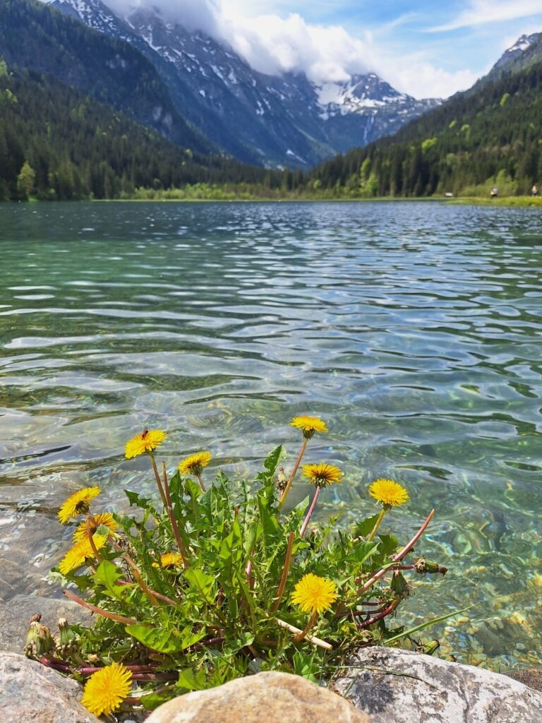 Fasten mit Kneipp Gesundheitslehre