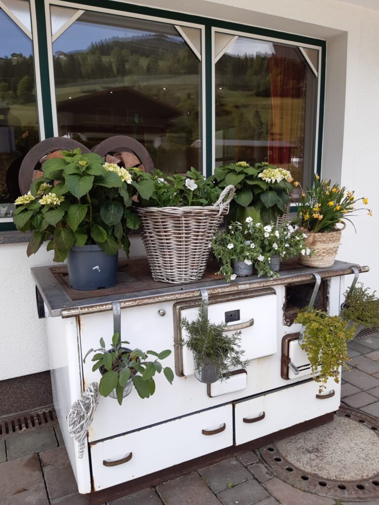 Fastenurlaub für deine Gesundheit