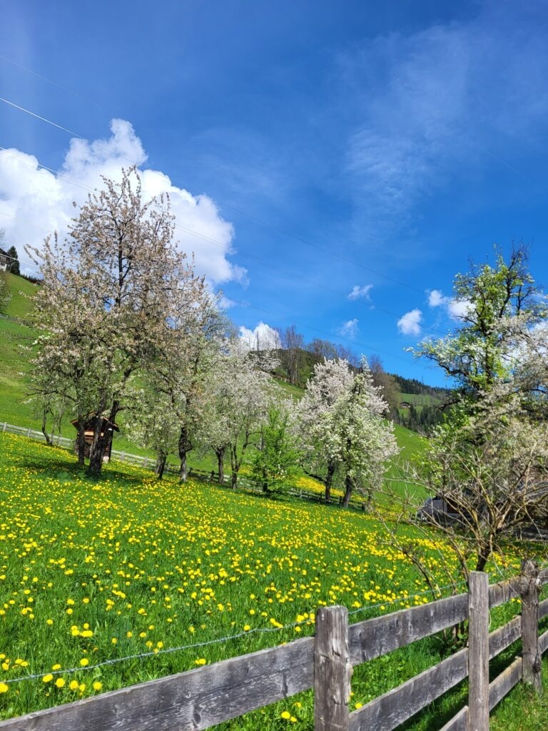 Fasten im Frühling in Kärnten