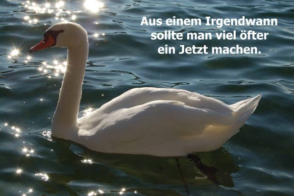 Schwan Fastenwoche, Wörthersee